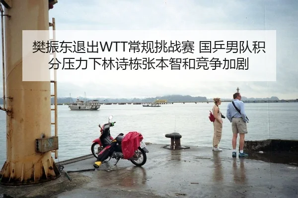 樊振东退出WTT常规挑战赛 国乒男队积分压力下林诗栋张本智和竞争加剧