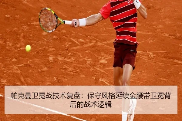 pa-ke-man-wei-mian-zhan-ji-shu-fu-pan-bao-shou-feng-ge-yan-xu-jin-yao-dai-wei-mian-bei-hou-de-zhan-shu-luo-ji-3-675.jpg
